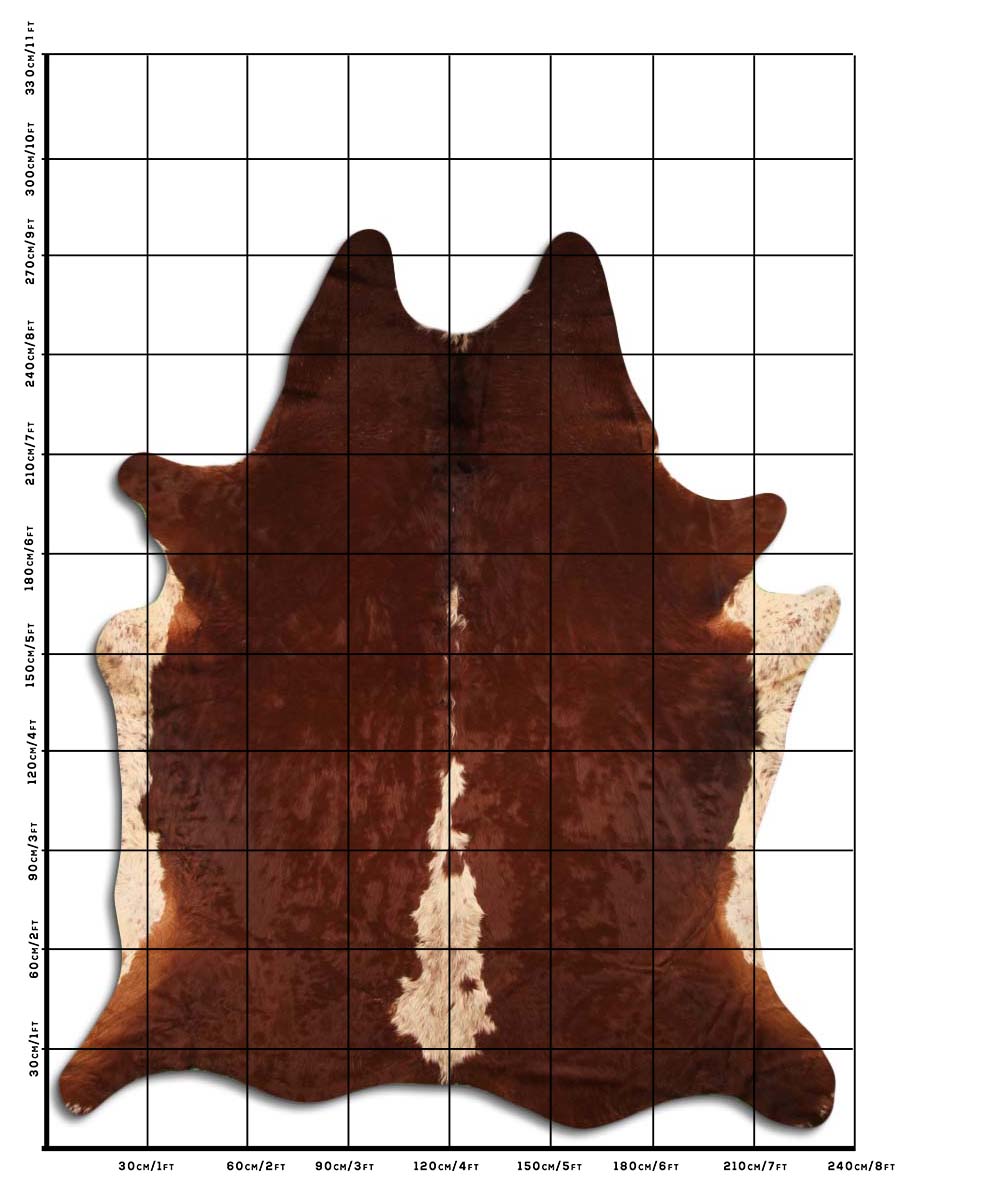 Bonnie - Dark Brown cowhide size template