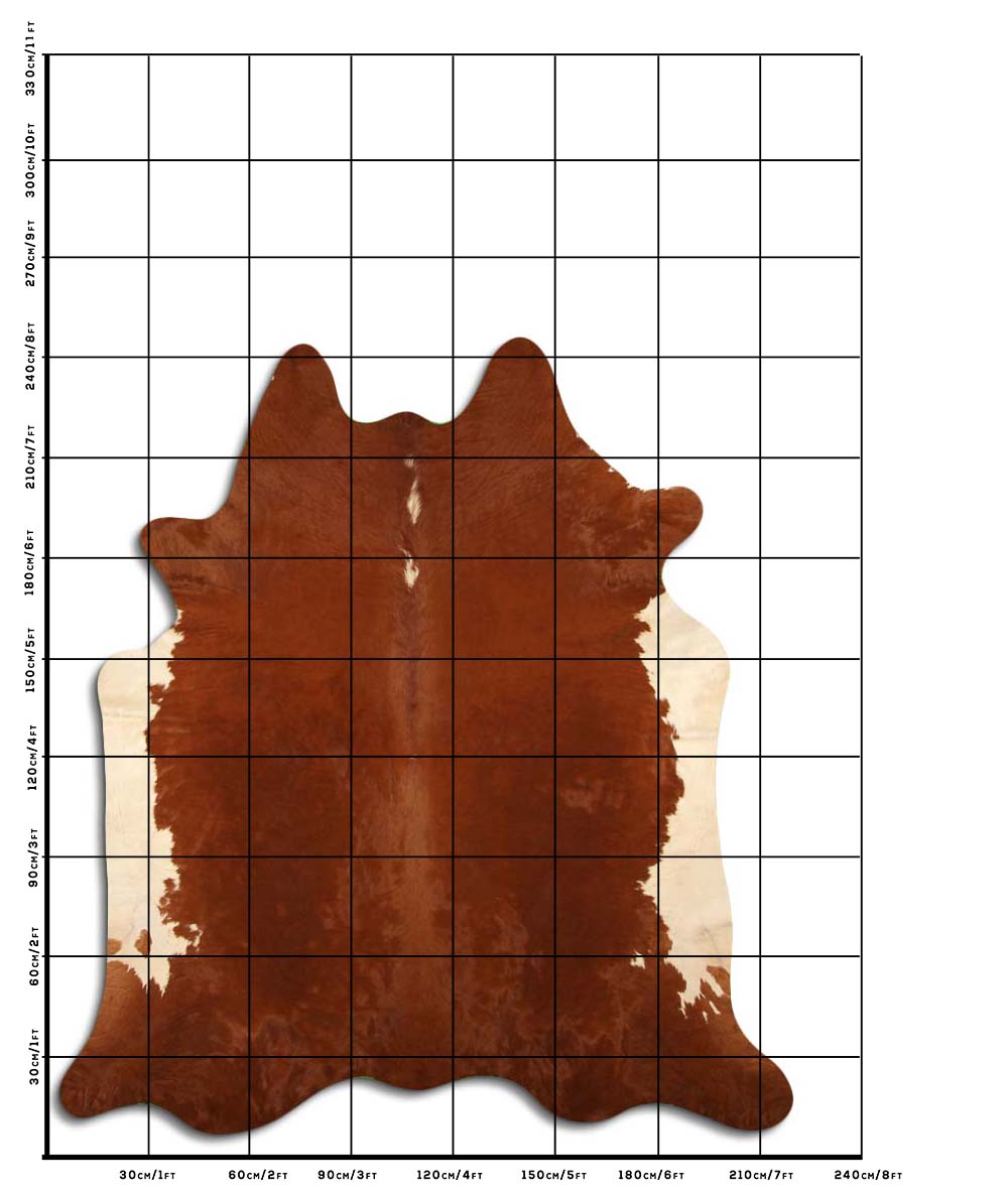 Tim - Hereford cowhide size template