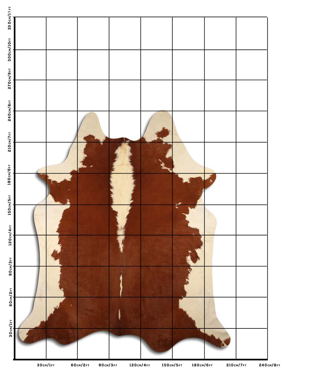 Ralph - Brown + White Cowhide size template