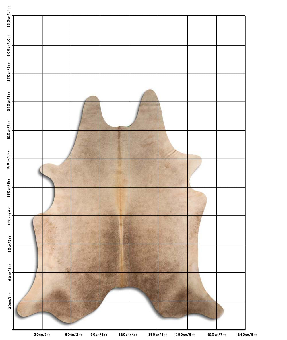 Jay - Light Champagne cowhide size template
