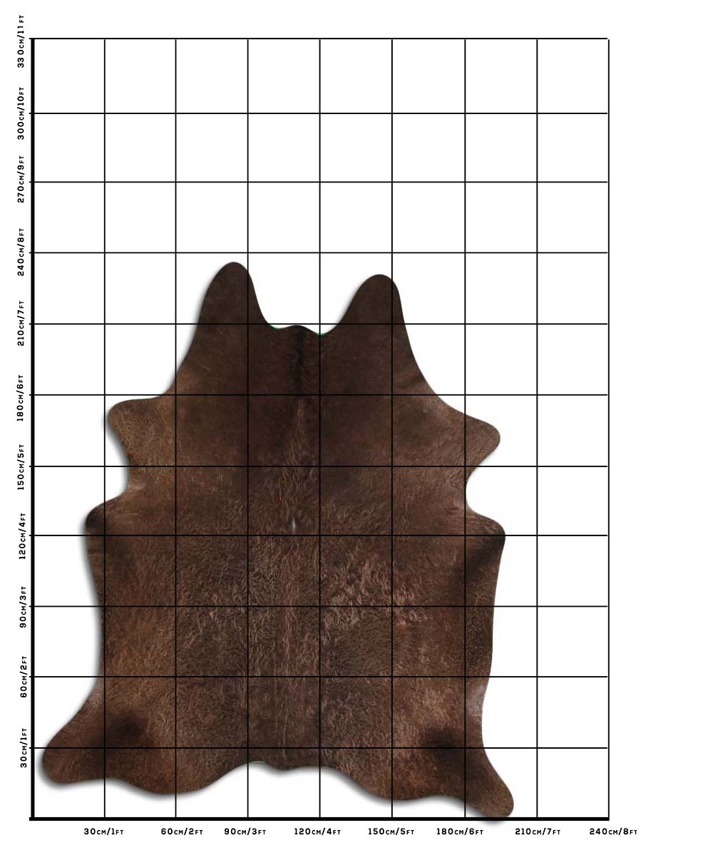 Lou - Dark Champagne cowhide size template