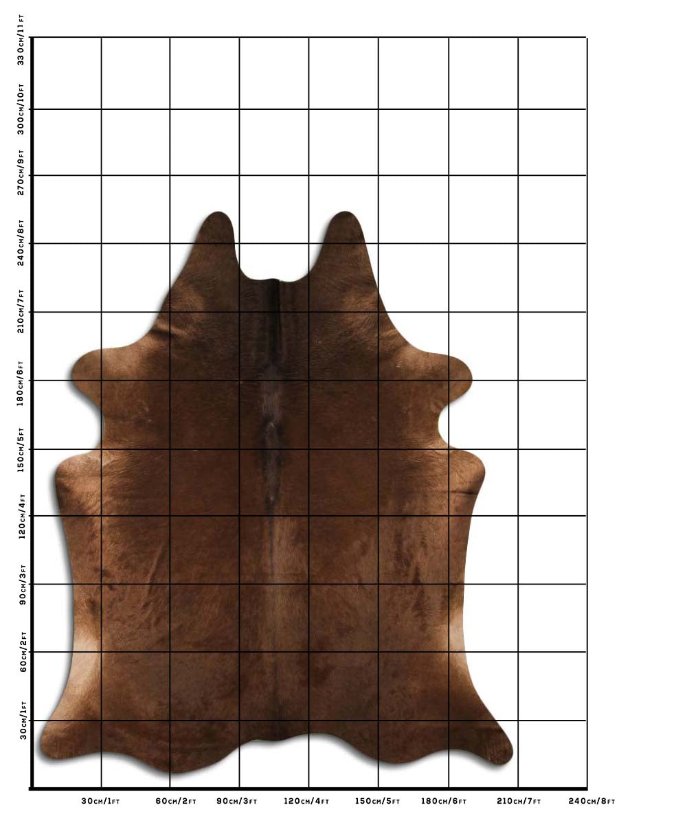 Winn - Dark Champagne cowhide size template