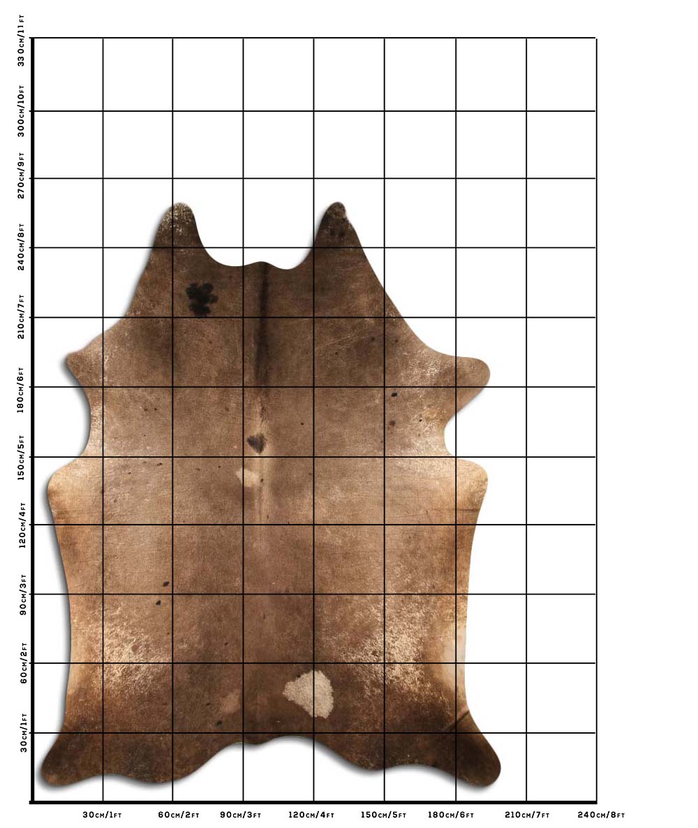 Ziggy - Dark Champagne cowhide size template