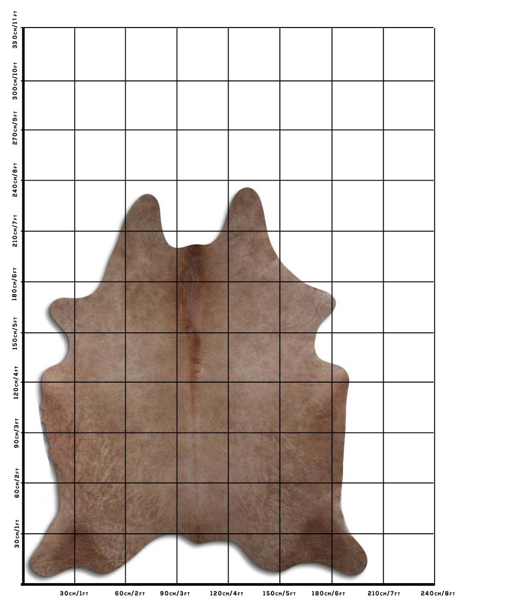 Holly - Milk Chocolate Champagne cowhide size template