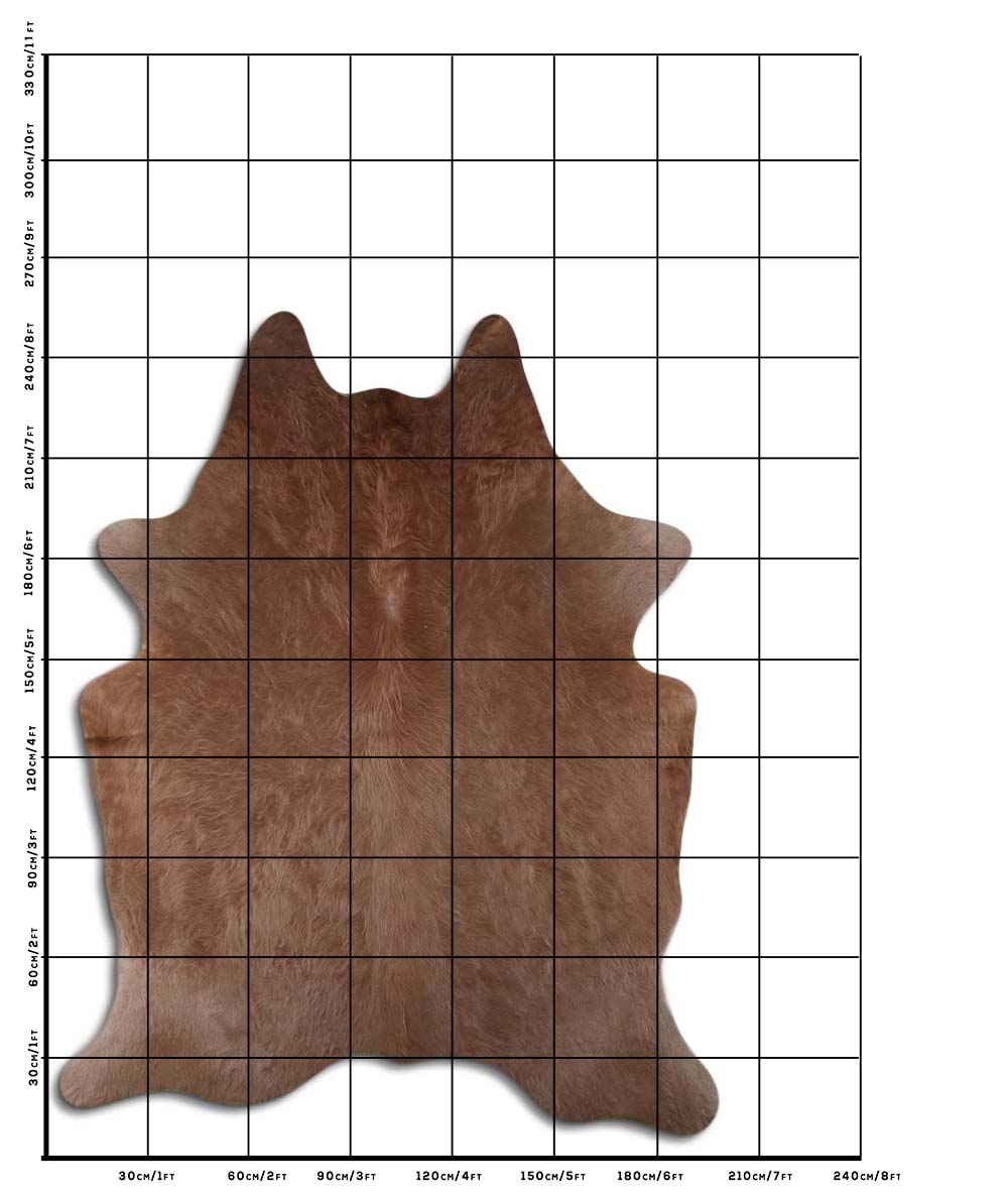 Ed - Caramel cowhide sizing template