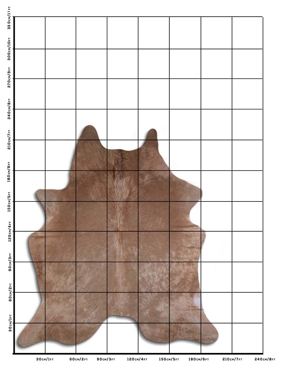 Charlotte - Champagne cowhide size template
