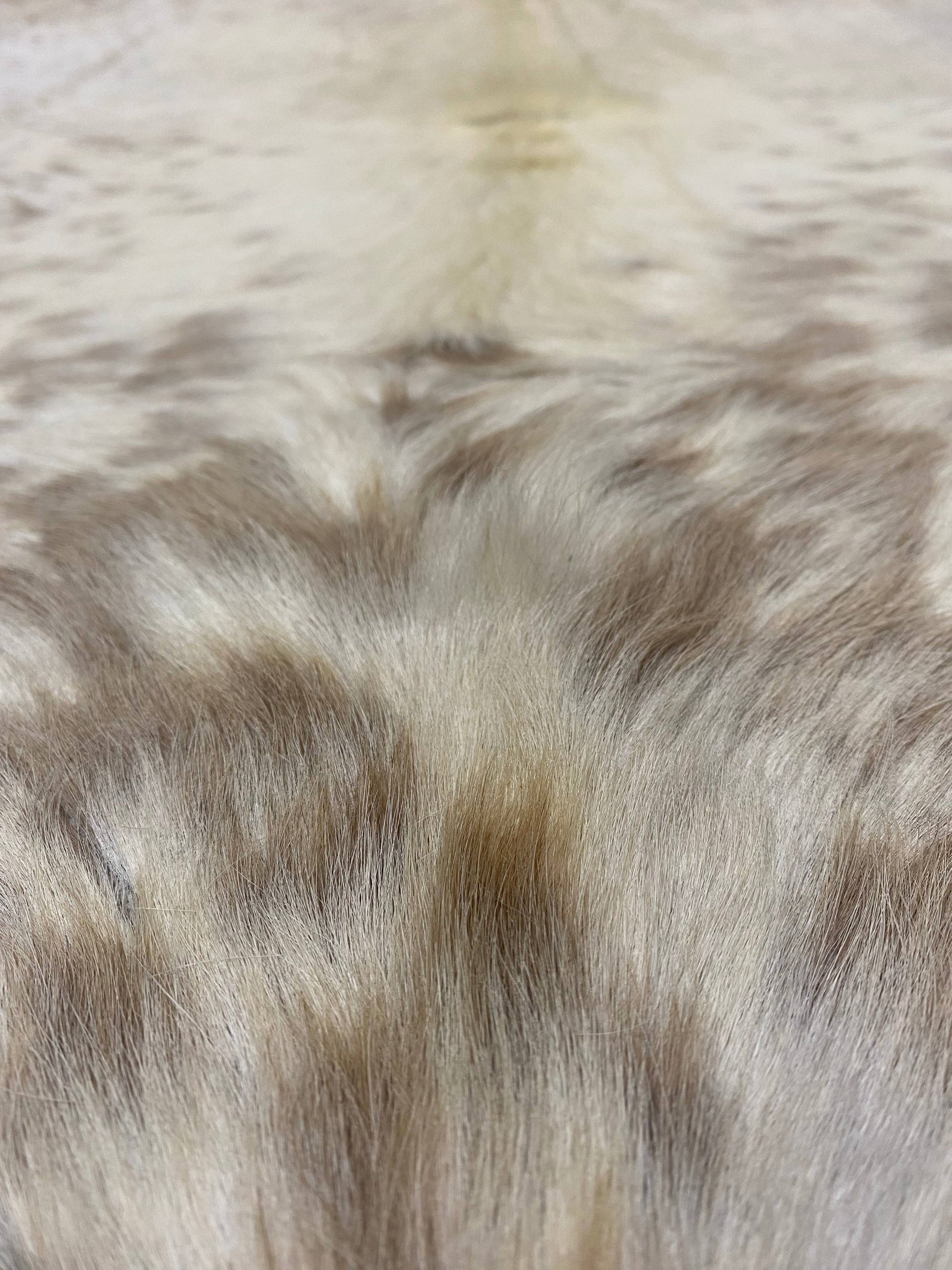 Caitlin - Brown speckle cowhide close up