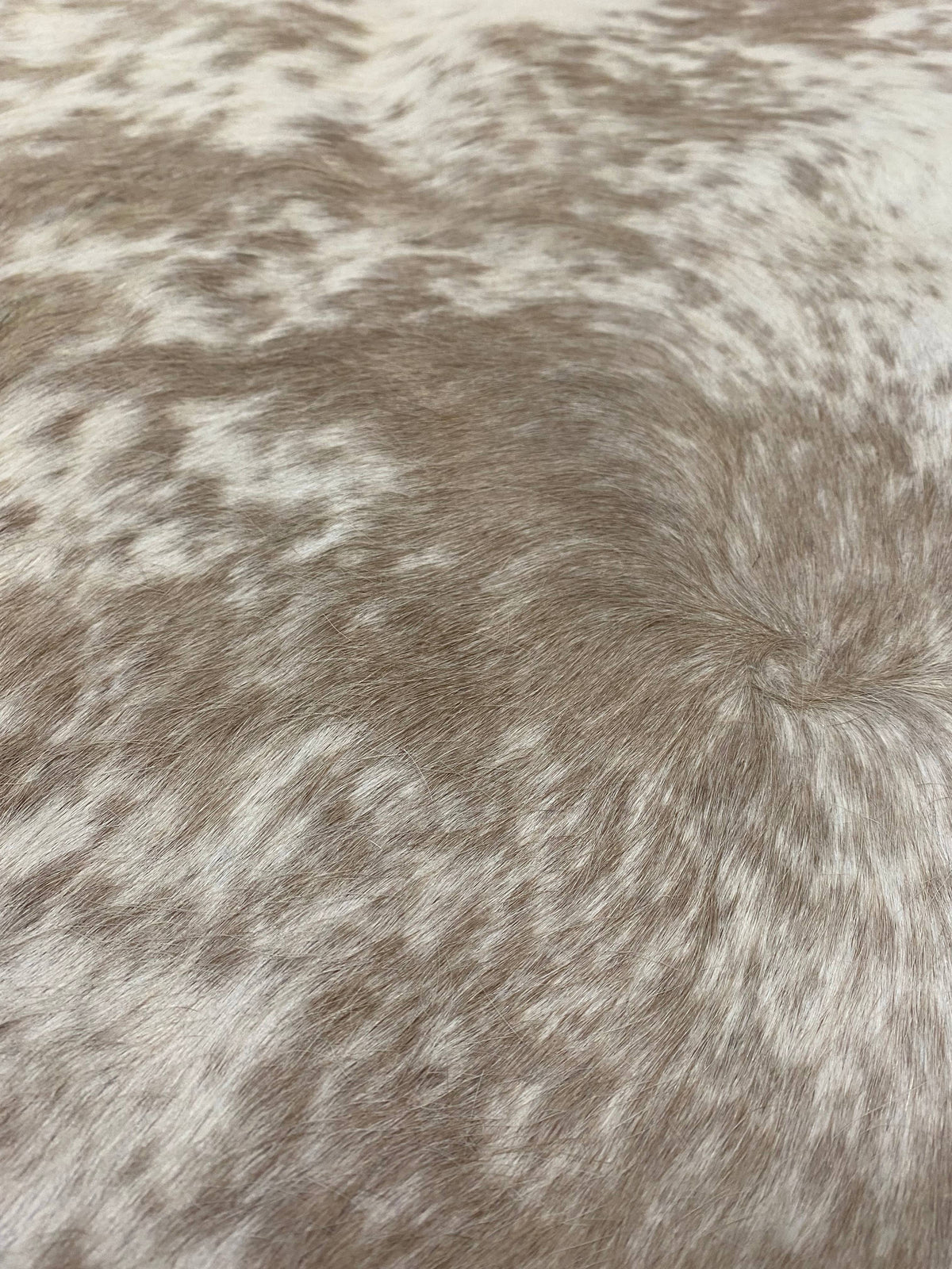 Caitlin - Brown speckle cowhide close up