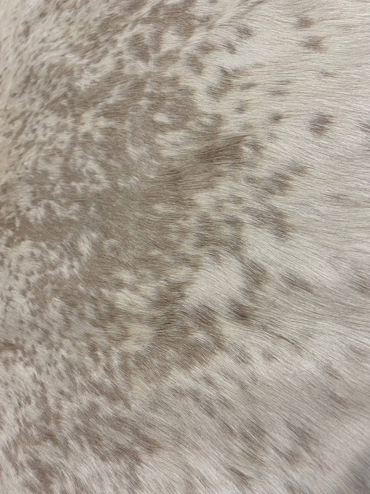 Caitlin - Brown speckle cowhide close up