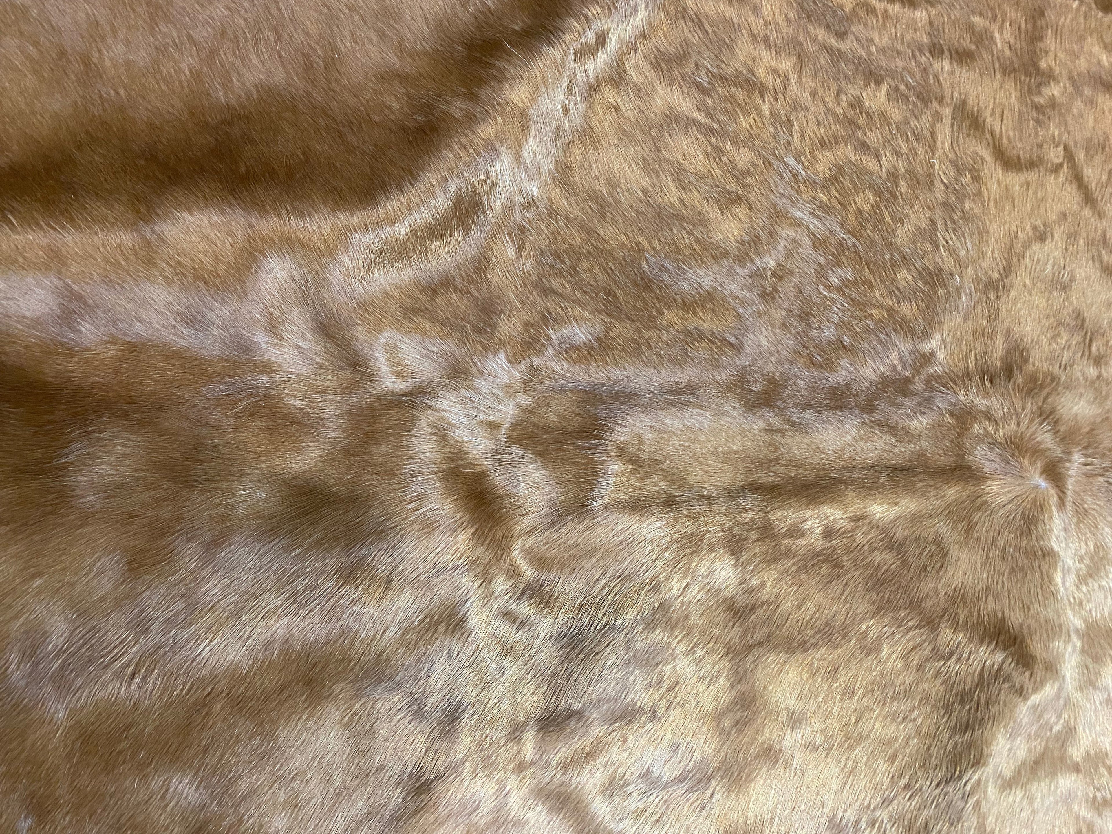 Halsey - Tan cowhide close up