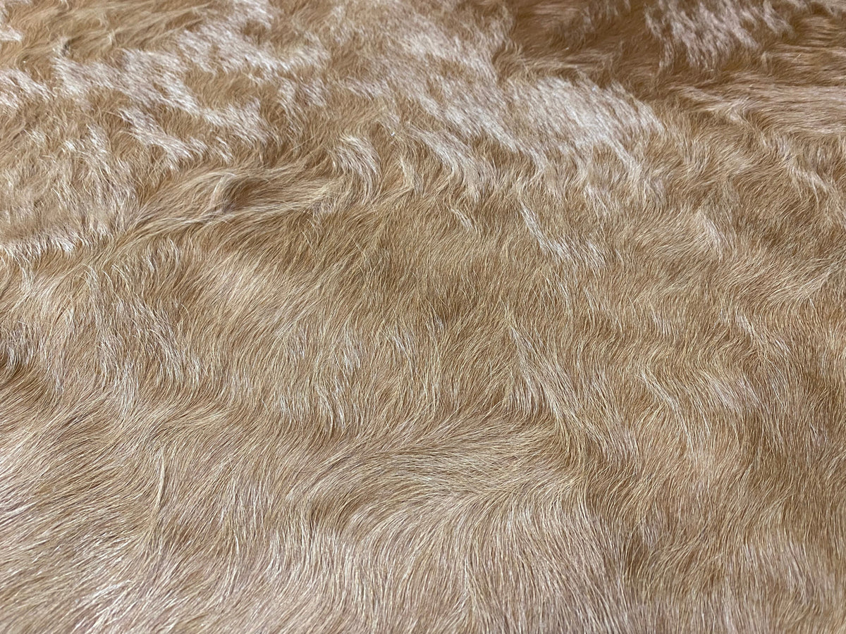 Holly - Milk Chocolate Champagne cowhide close up