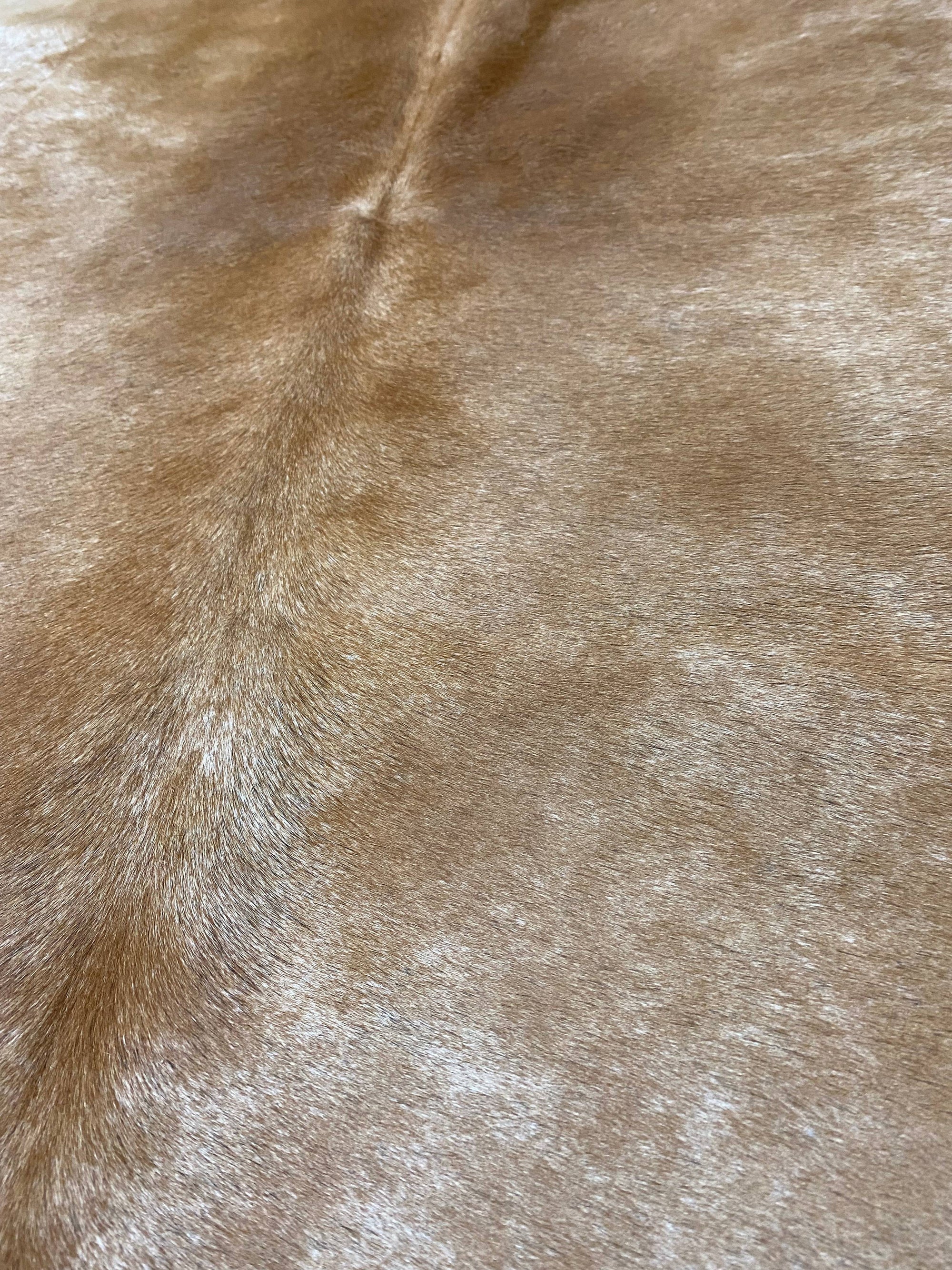 Julie - Brown speckle cowhide close up