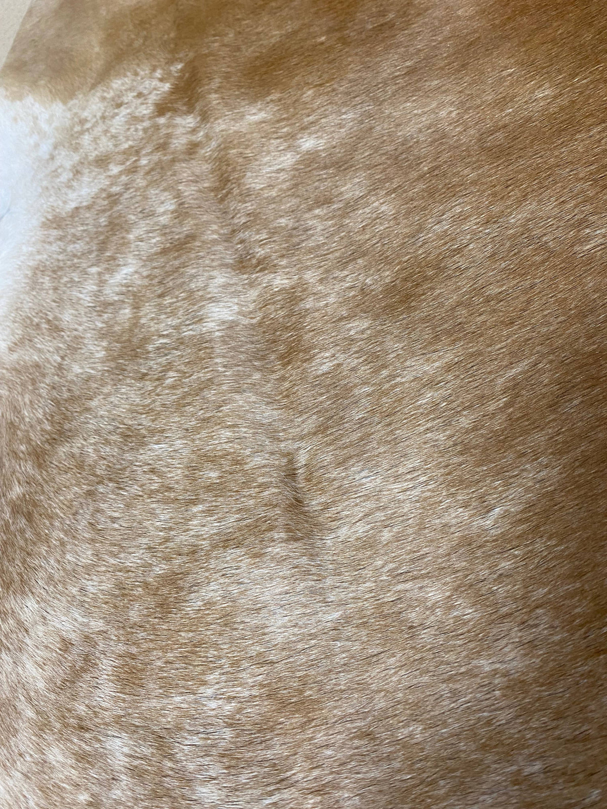 Julie - Brown speckle cowhide close up