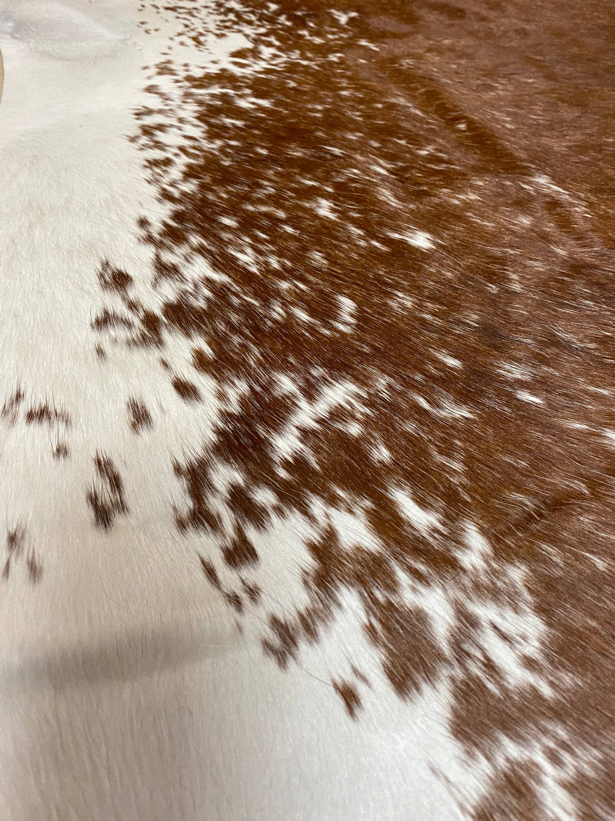 Justin - Brown + White speckle cowhide close up