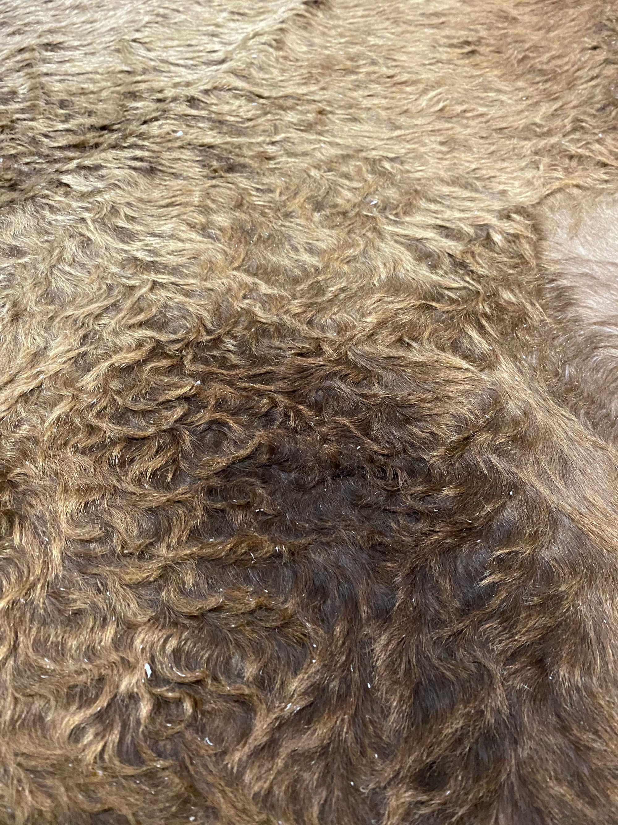 Lou - Dark Champagne cowhide close up
