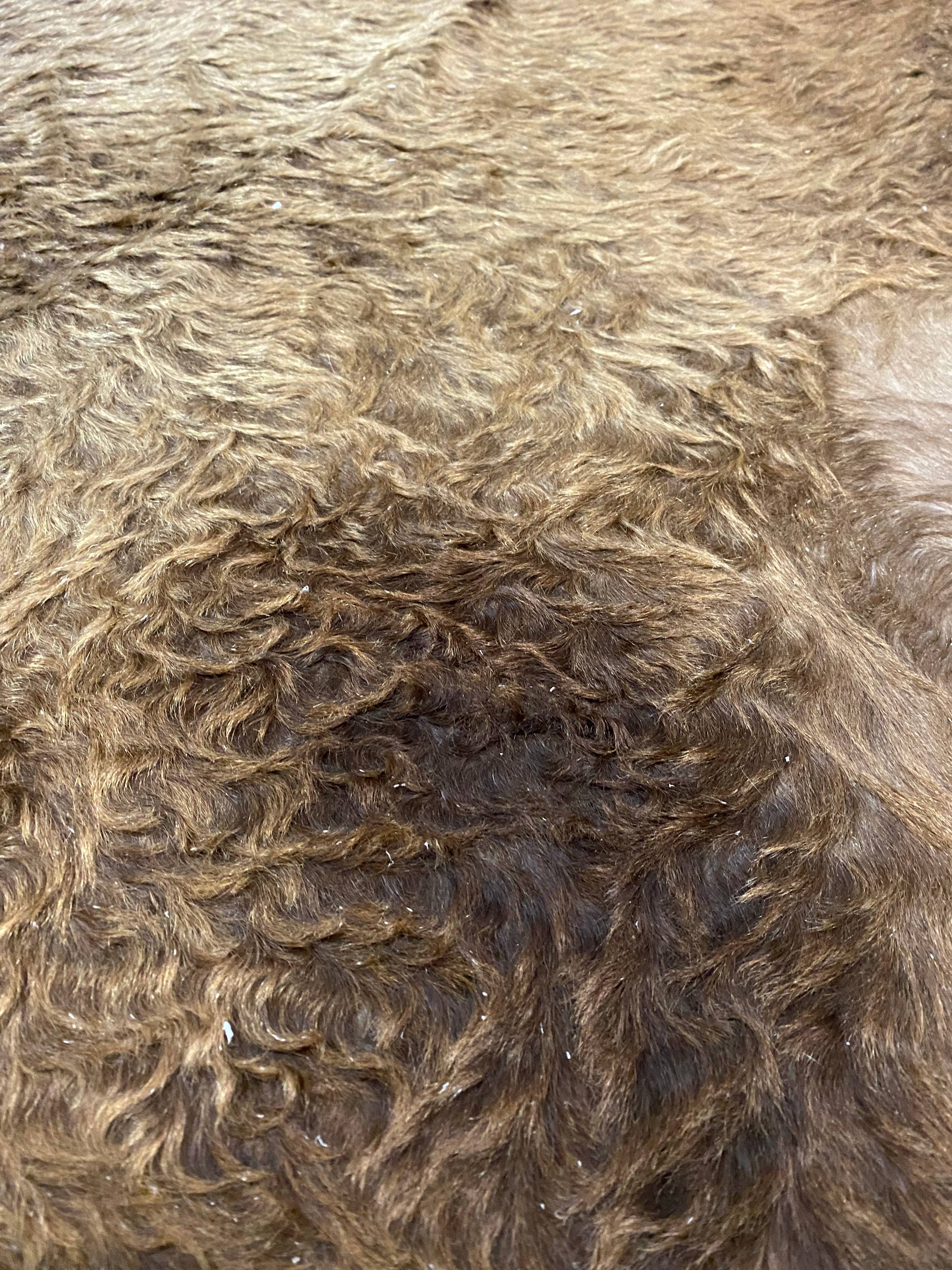 Lou - Dark Champagne cowhide close up