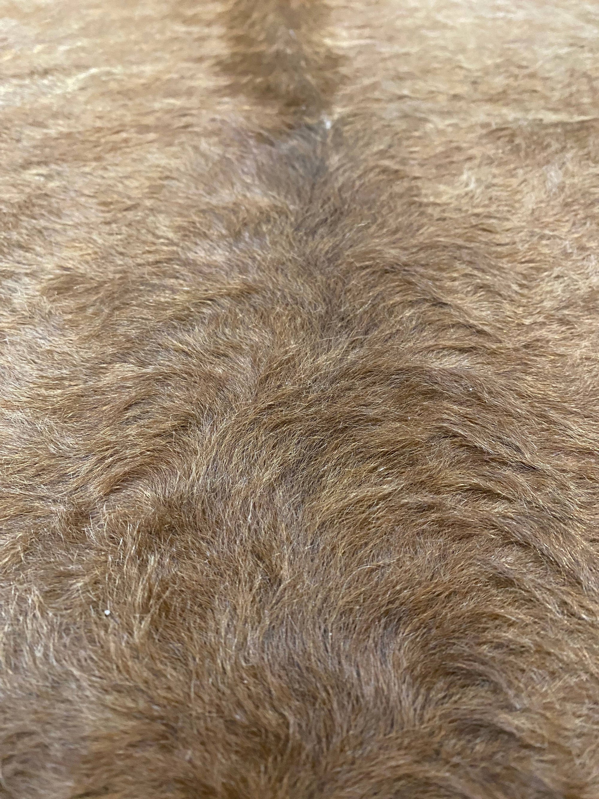 Megan - Carmel cowhide close up