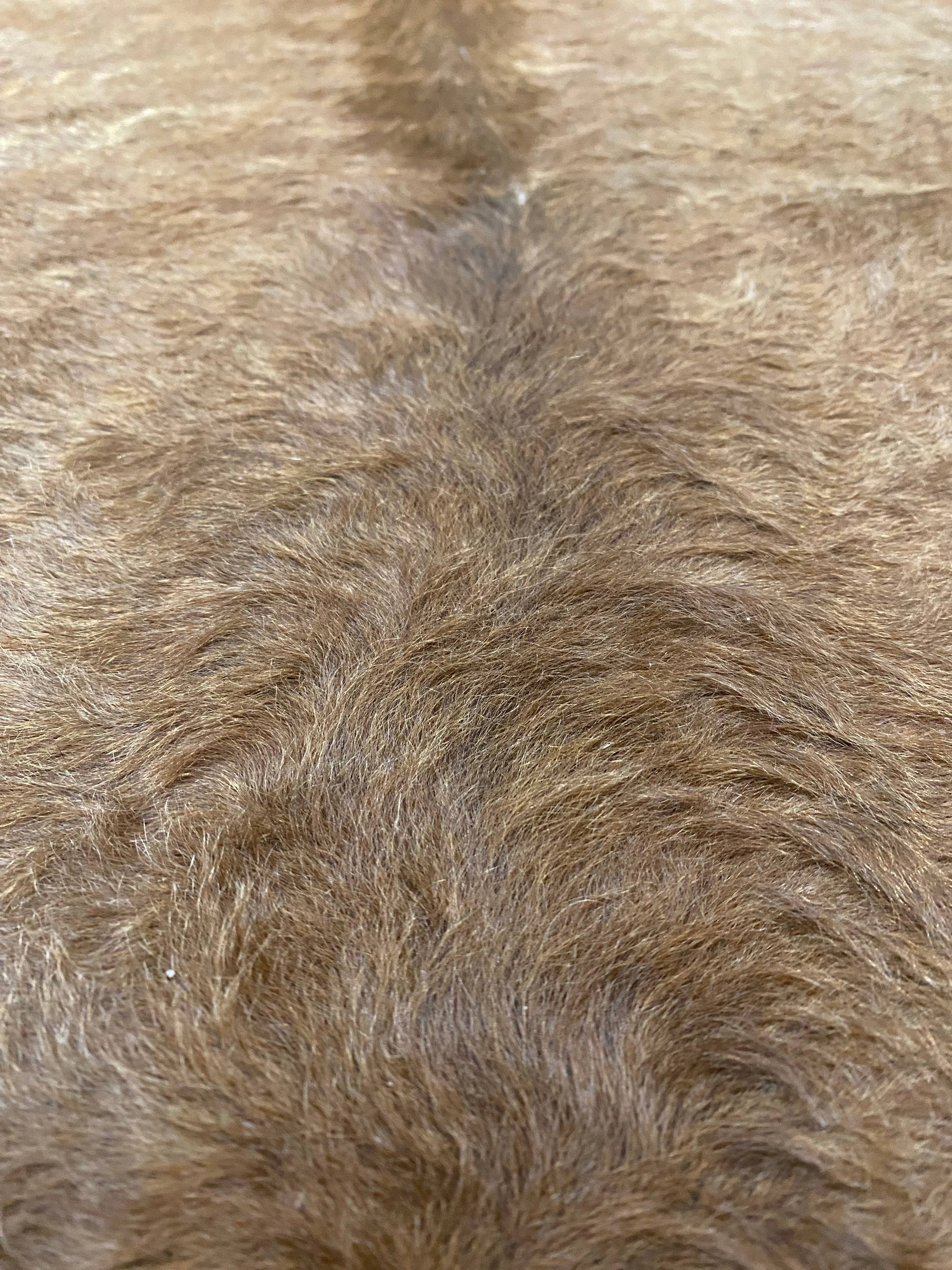 Megan - Carmel cowhide close up