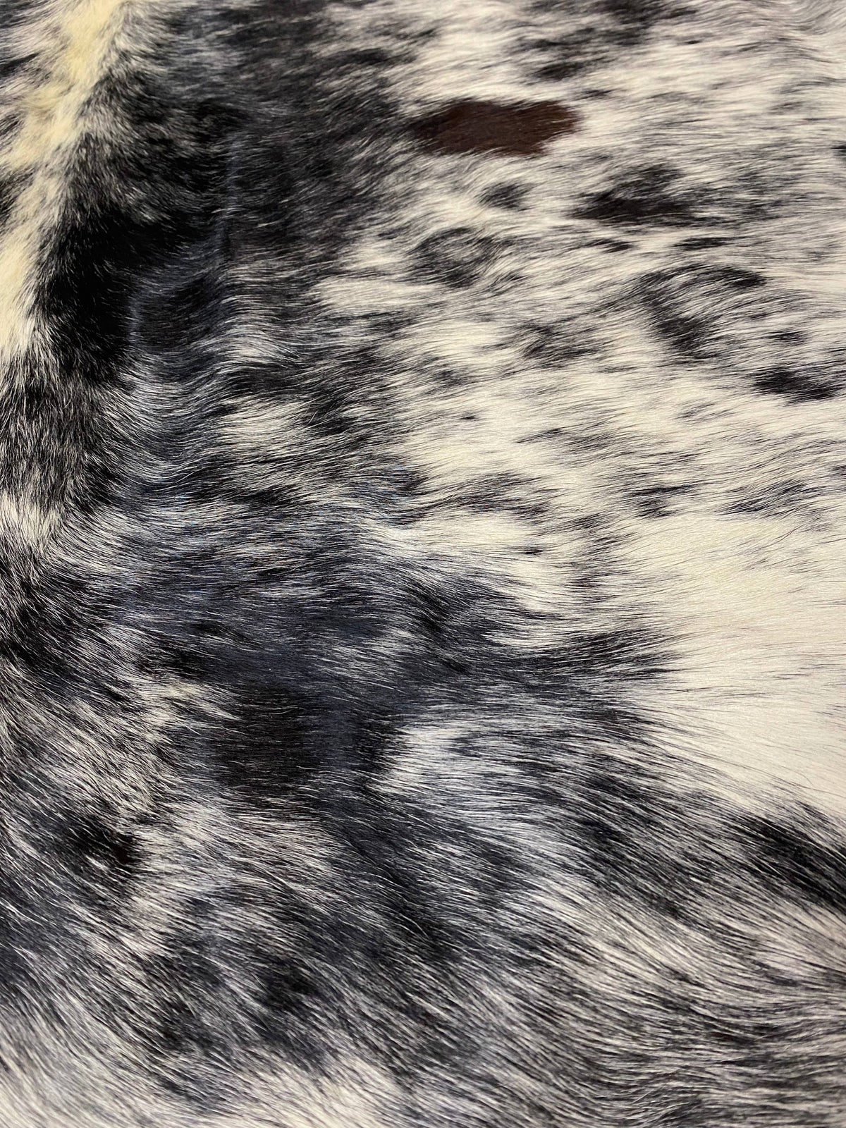 onte - Black + white speckle cowhide close up