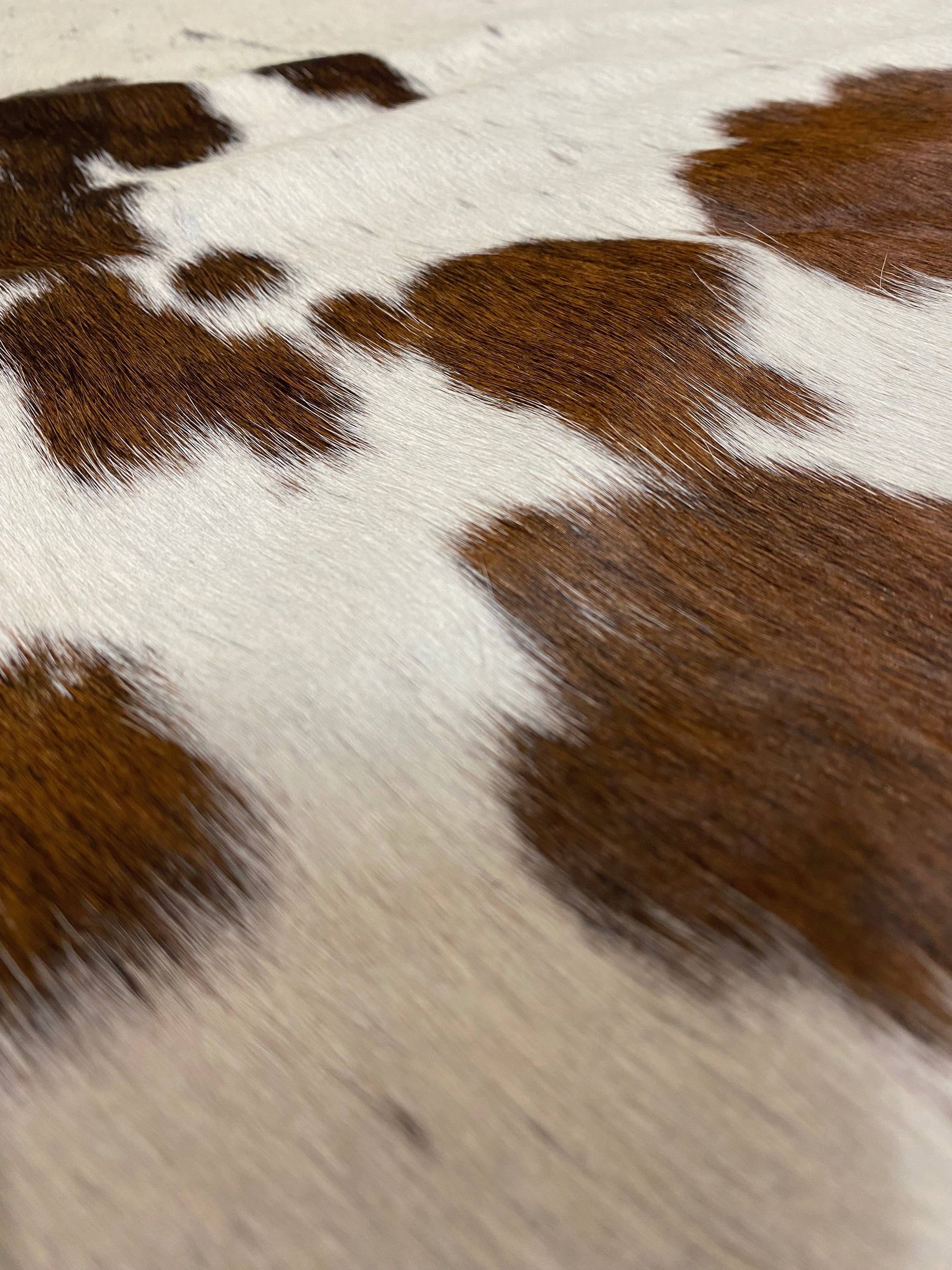 Ruth - White + Brown cowhide close up