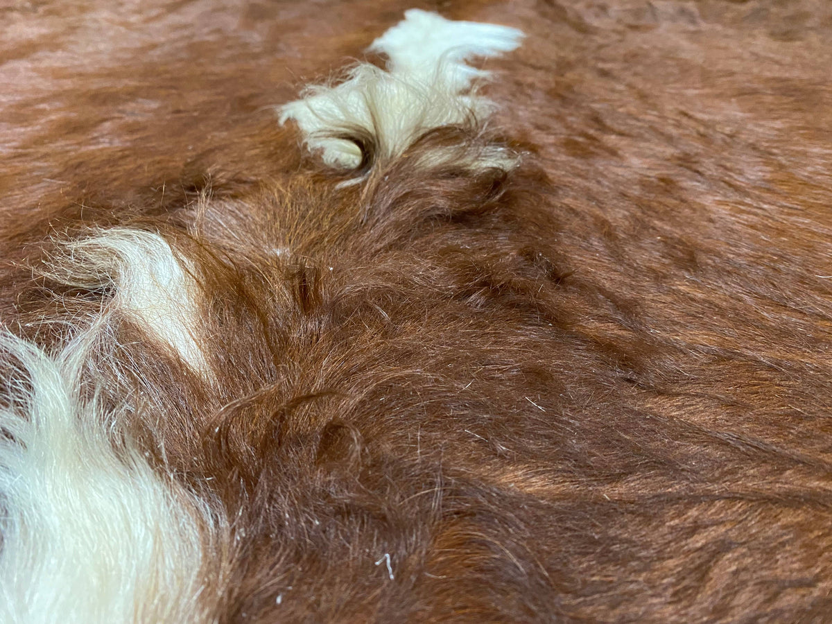 Ryan - Brown cowhide close up