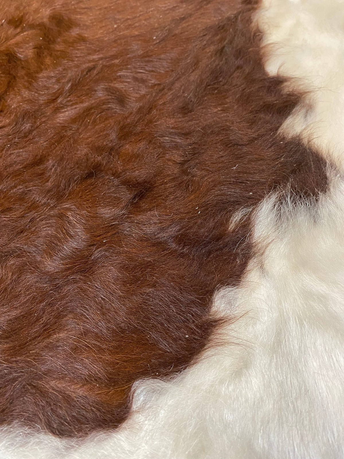 Ryan - Brown cowhide close up