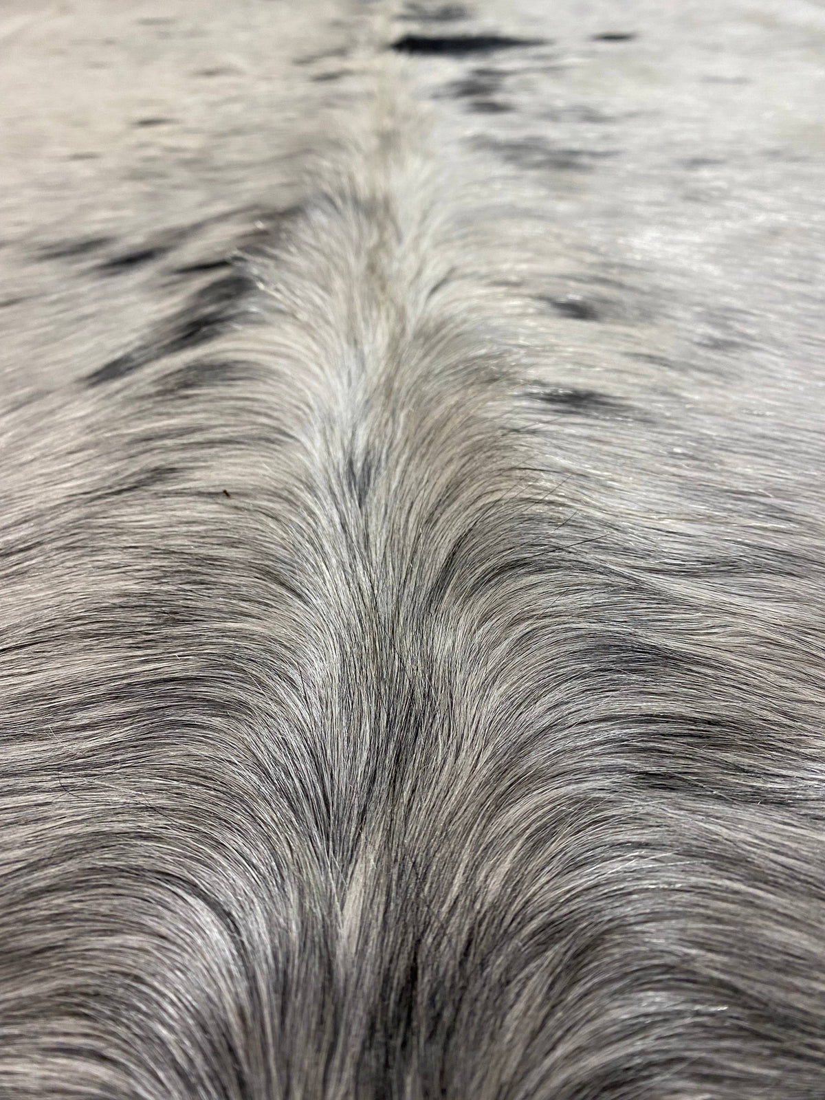 Sam - Grey speckle cowhide close up
