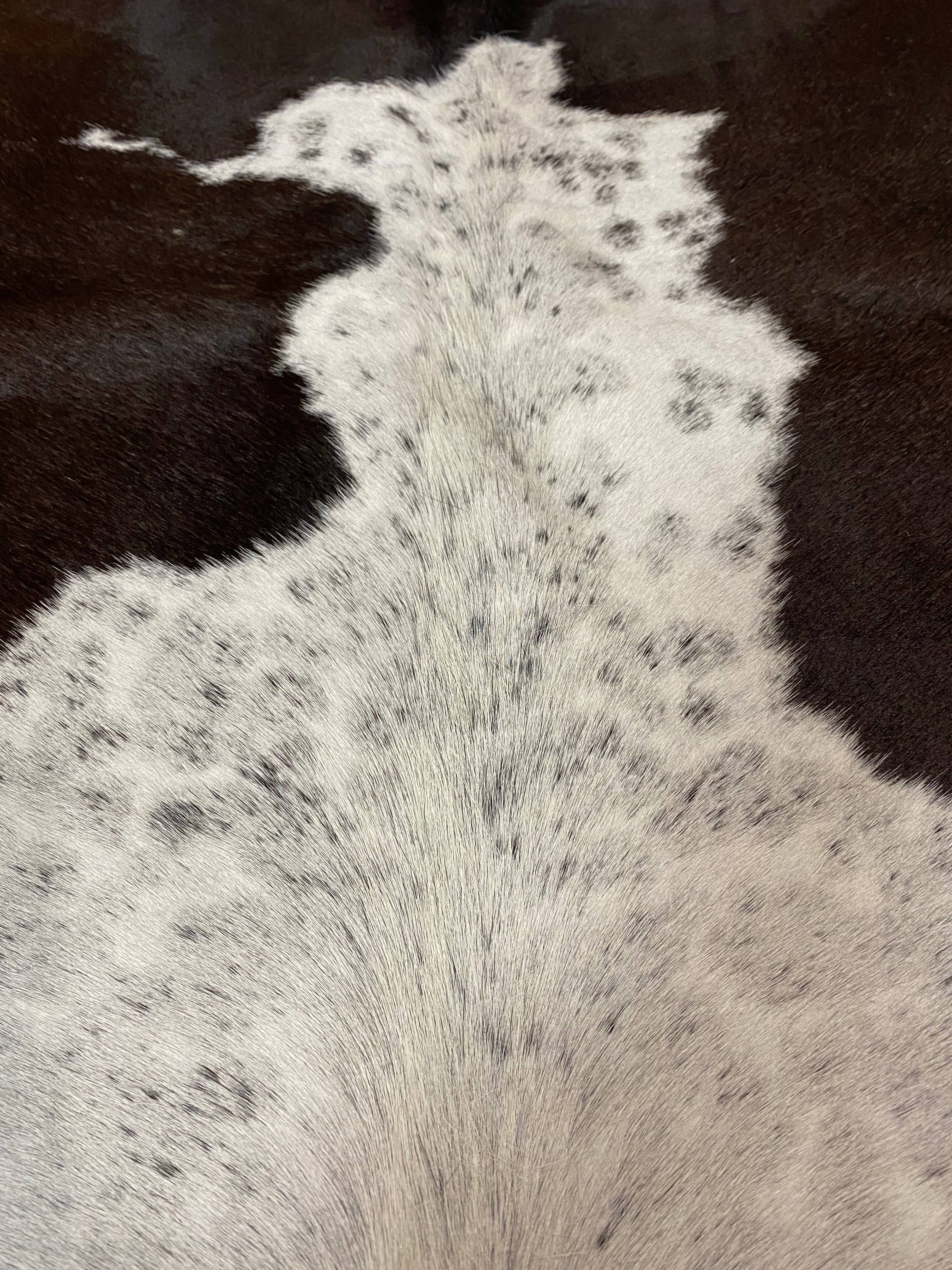 Stephan - Grey + white cowhide close up