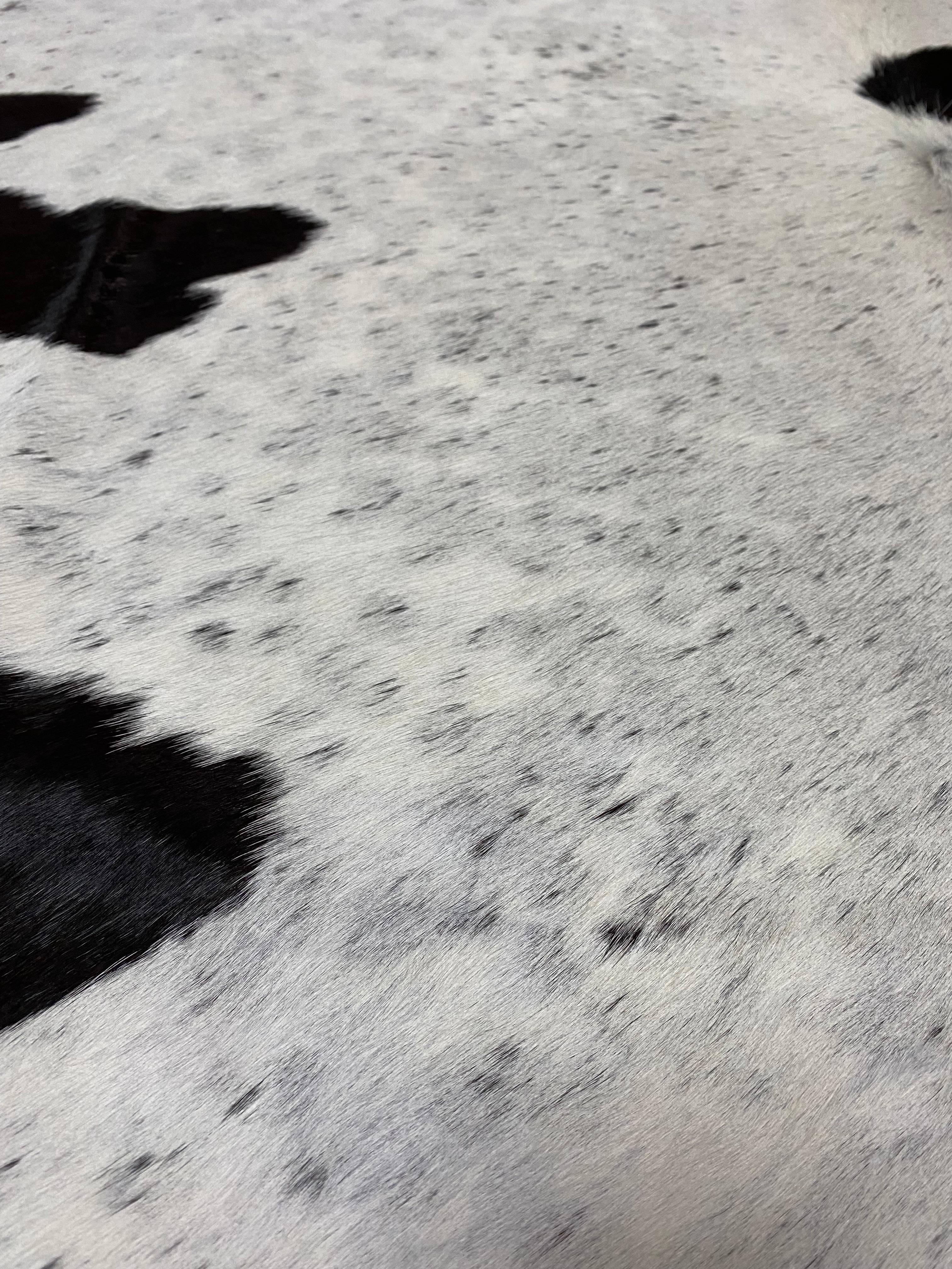 Stephan - Grey + white cowhide close up