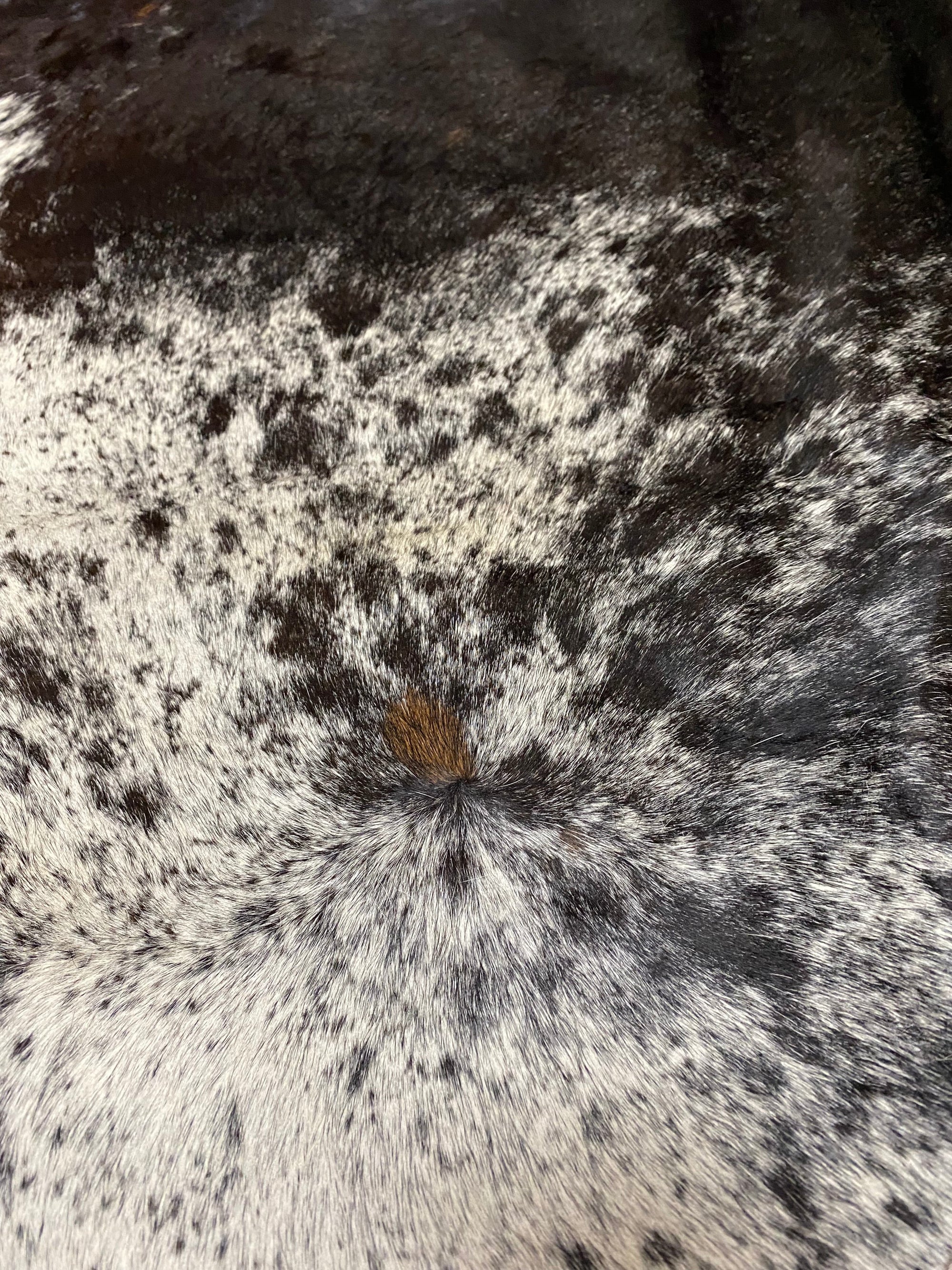Tate - Brown + White speckle cowhide close up
