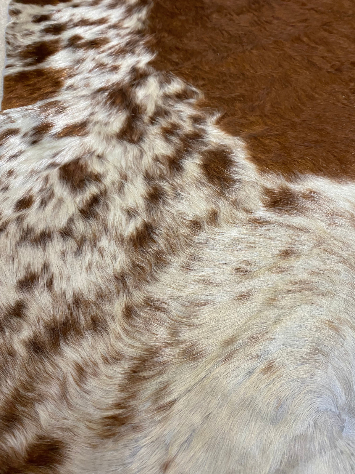 Theo - Hereford cowhide close up