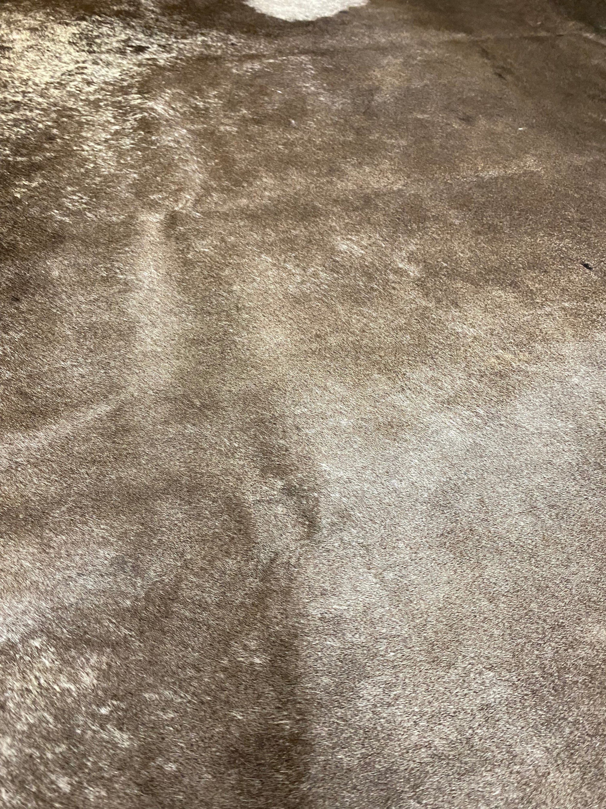 Ziggy - Dark Champagne cowhide close up