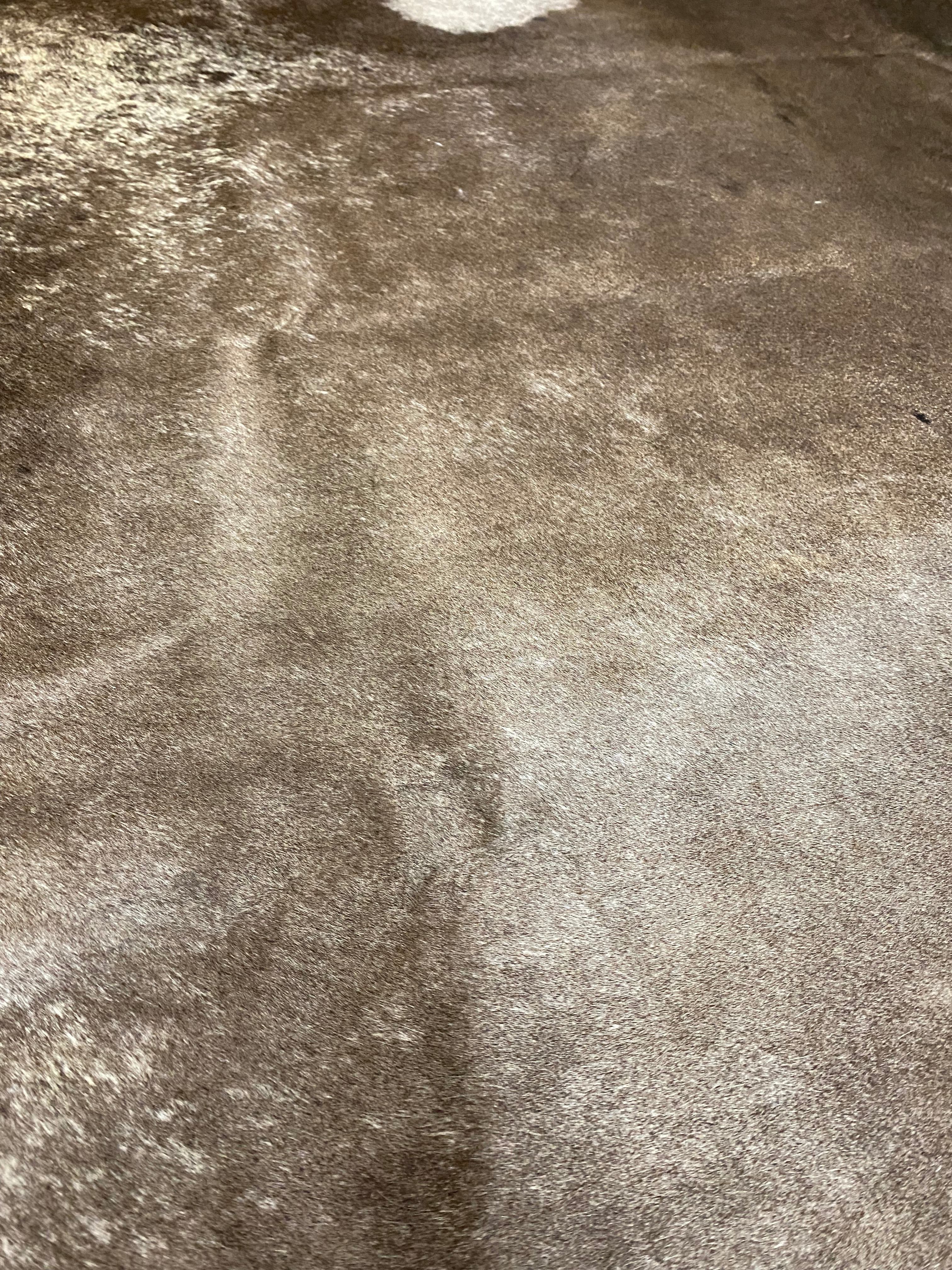 Ziggy - Dark Champagne cowhide close up