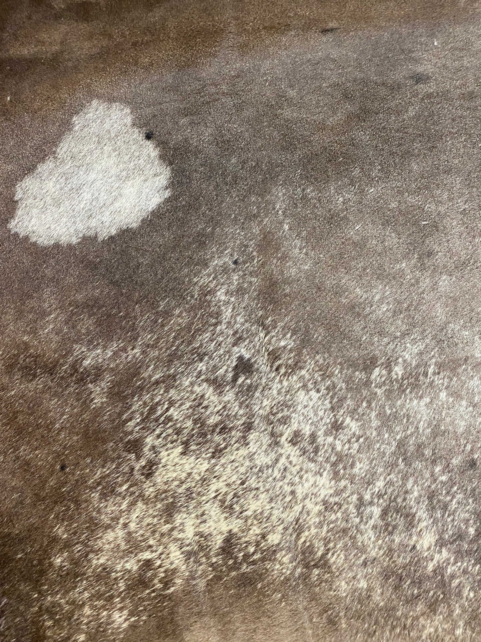Ziggy - Dark Champagne cowhide close up